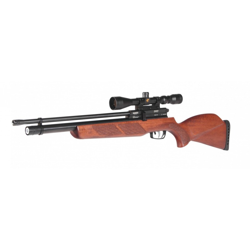 RIFLE PERDIGONES GAMO SWARM HORNET NEGRO