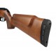 Gamo CFX Royal