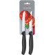 cuchillos_cocina_victorinox_negro_sierra_2_ud.jpg