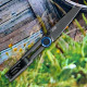 Kershaw Decibel Framelock