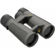 Prismáticos Leupold BX-5 Santiam HD 10x42