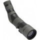 Telescopio Leupold SX-2 Alpine HD 20-60x60 - 45º