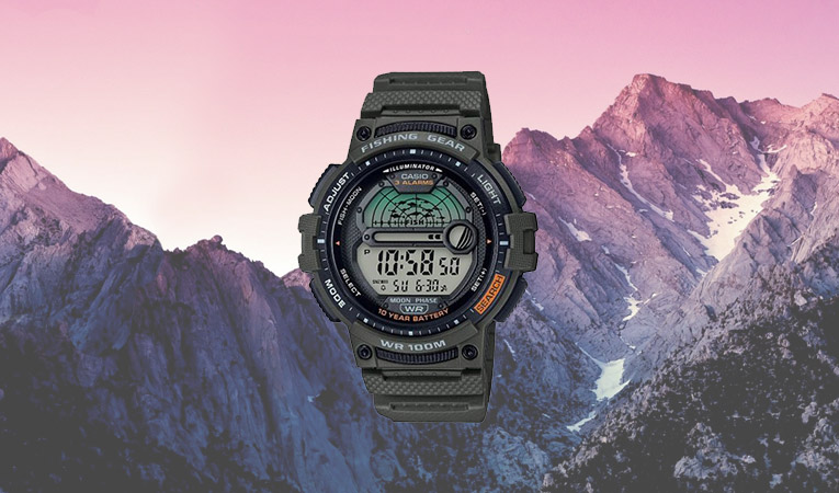 casio17.jpg