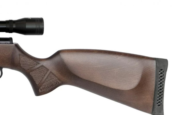 norica-leopard-firma.jpg